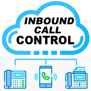 How can you give your Hosted PBX users more control over inbound calls? Ask Telinta.